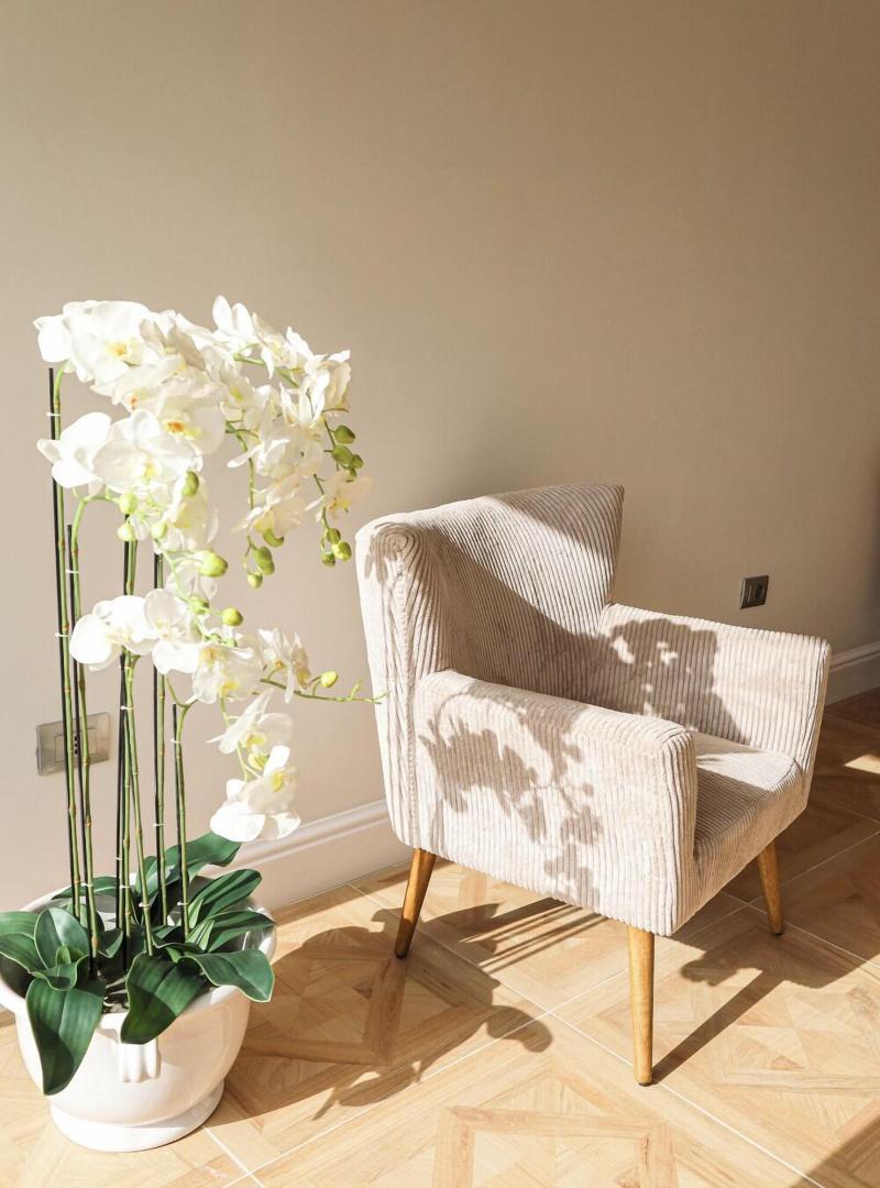 Petrus Rooms image