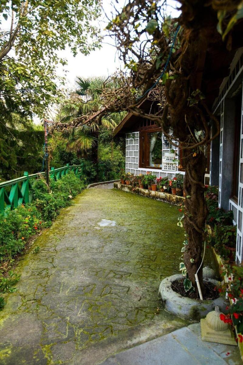 The Hive Cottage By Royal Collection image
