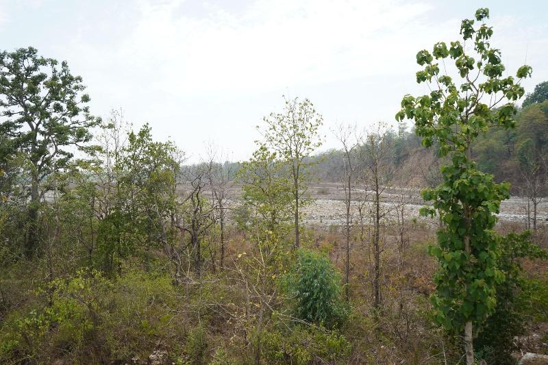 Corbett Nature Walk image