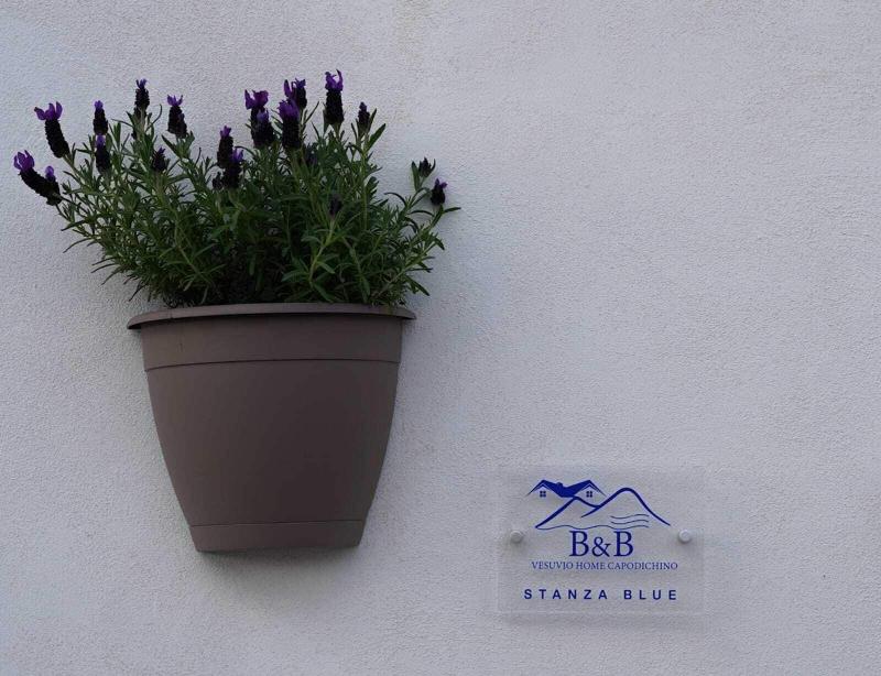 Vesuvio Home Capodichino Blue image