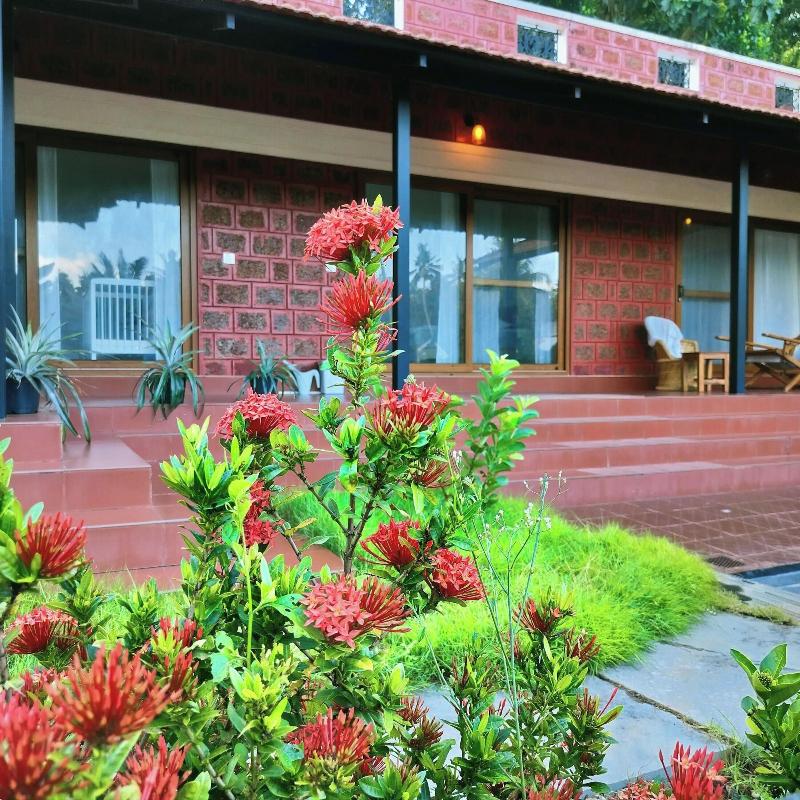 The Ixora A Boutique Homestay image