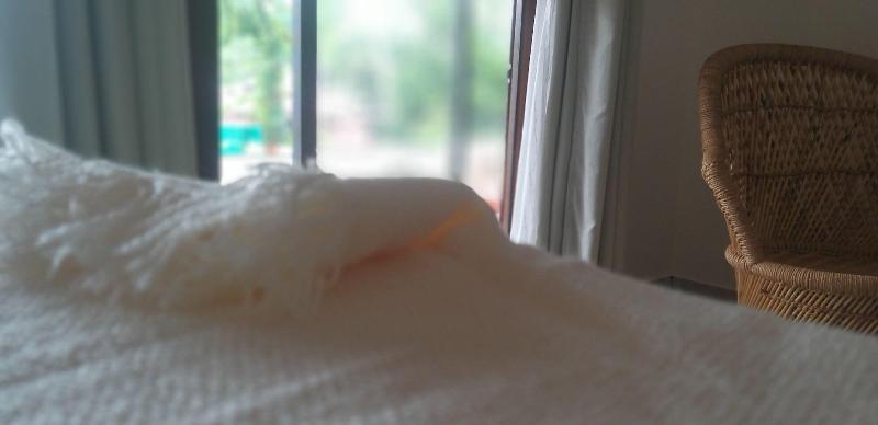 The Ixora A Boutique Homestay image