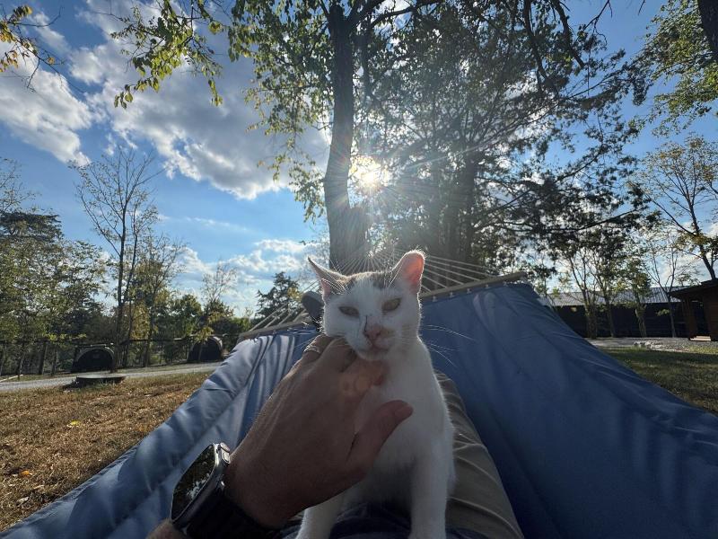 Lockridge Park