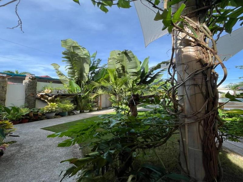 The Hat Trick Hostel image