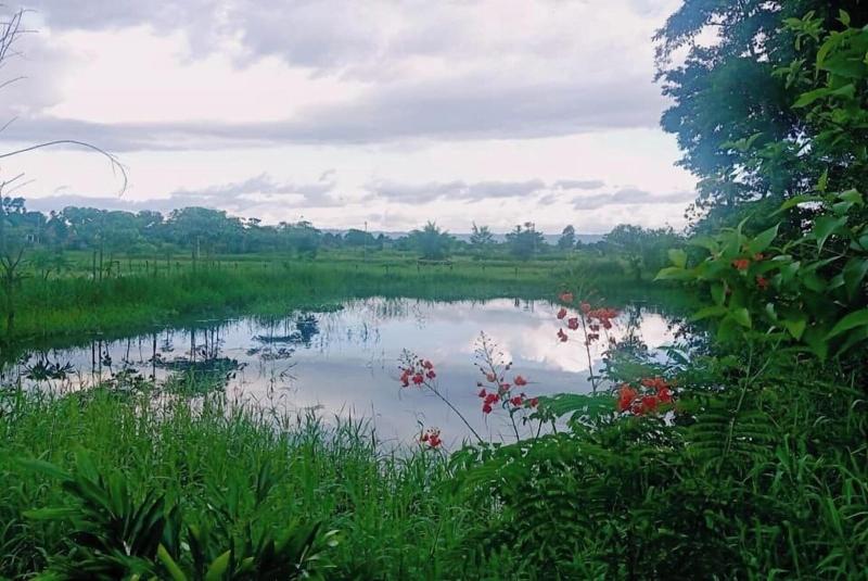 Lake Twenty Thousand Farm Retreat image