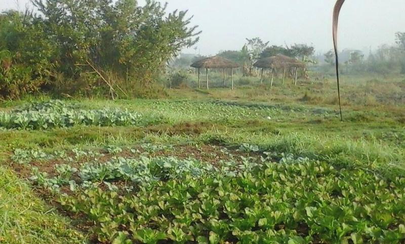 Lake Twenty Thousand Farm Retreat image