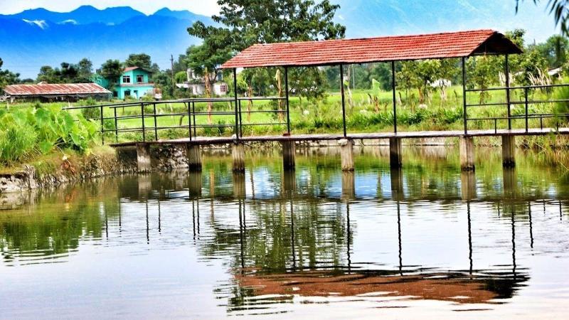 Lake Twenty Thousand Farm Retreat image