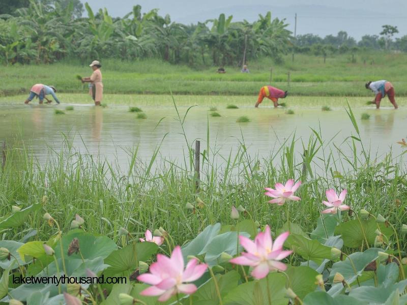 Lake Twenty Thousand Farm Retreat image