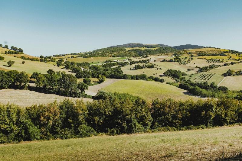 Le Fontanelle Country House image
