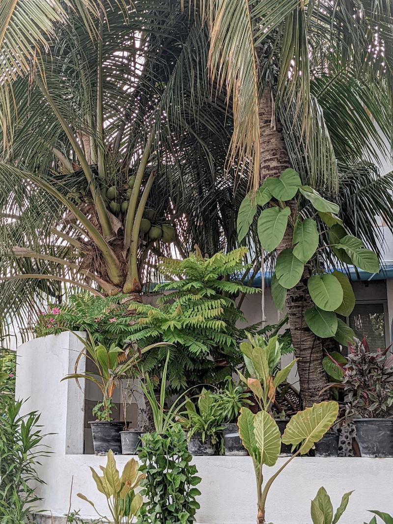 Dhoadhi Retreat image