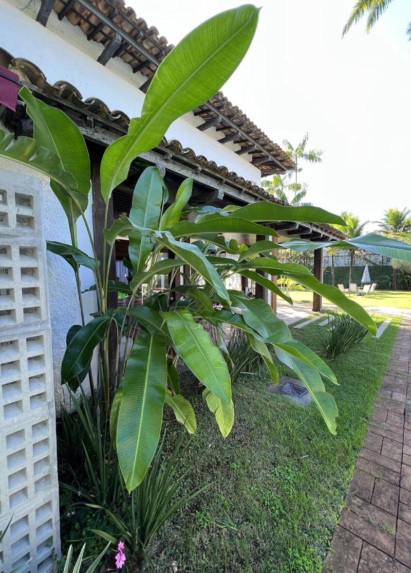 Pousada Casa Paradiso