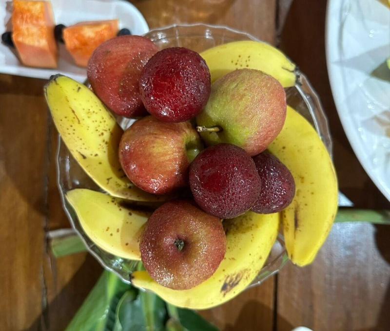 Pousada Casa Paradiso — photo 8