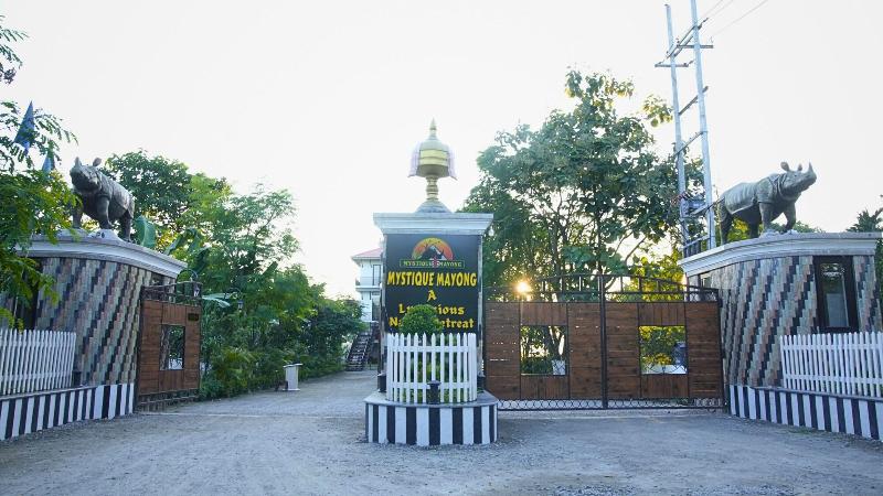 Mystique Mayong — general view