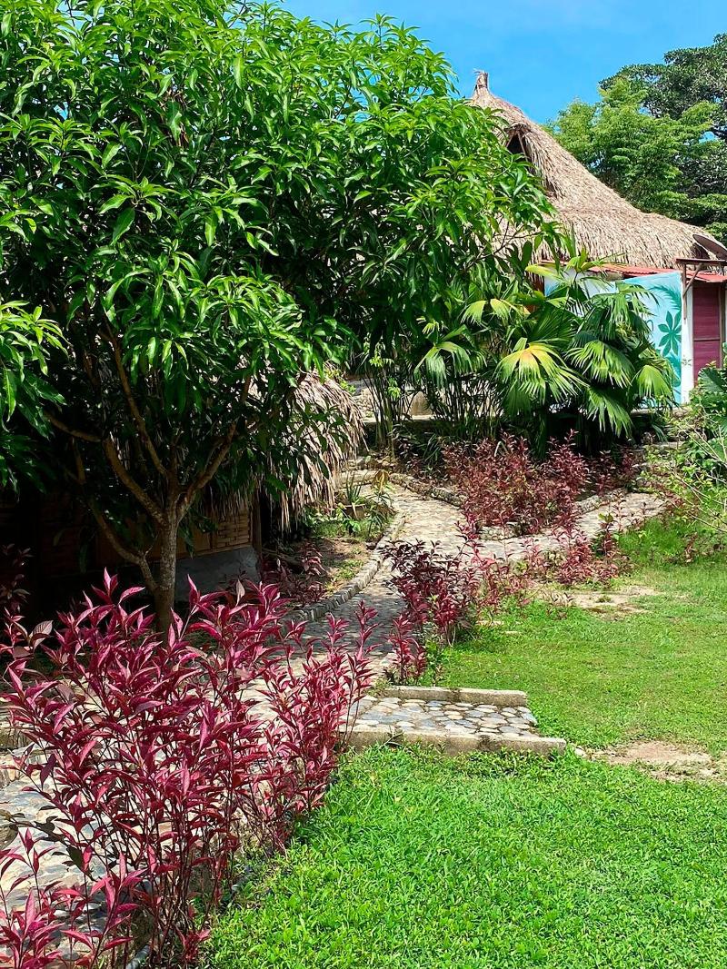 Magic Greeen Tayrona image