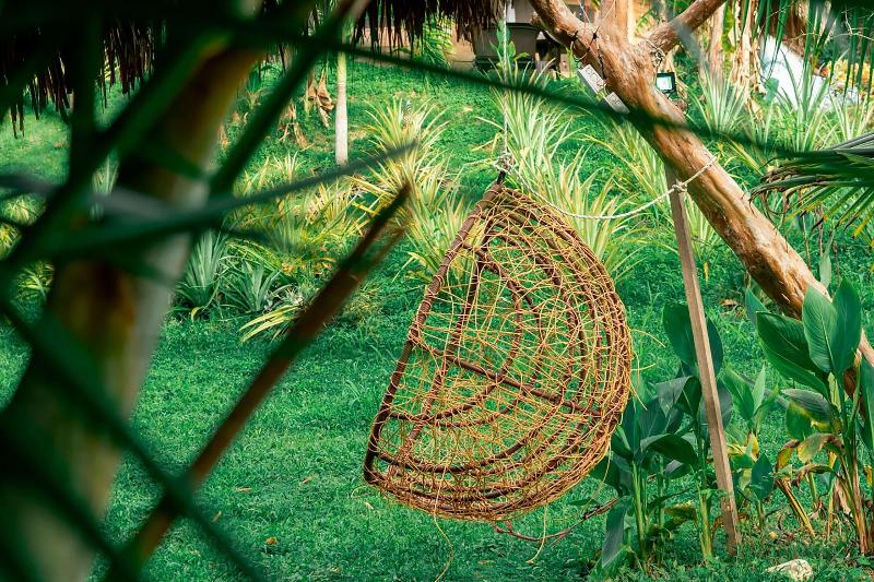 Magic Greeen Tayrona image