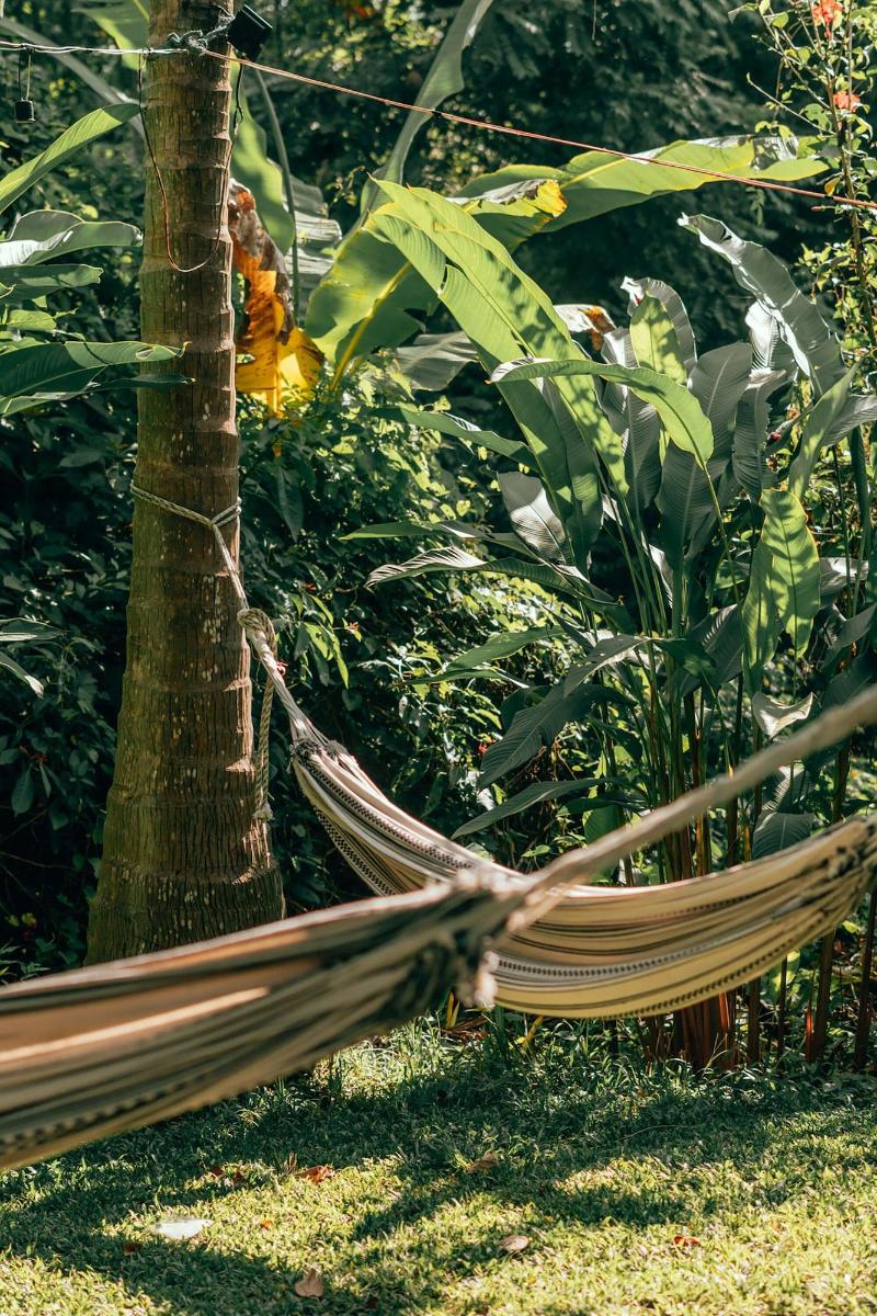 Magic Greeen Tayrona image