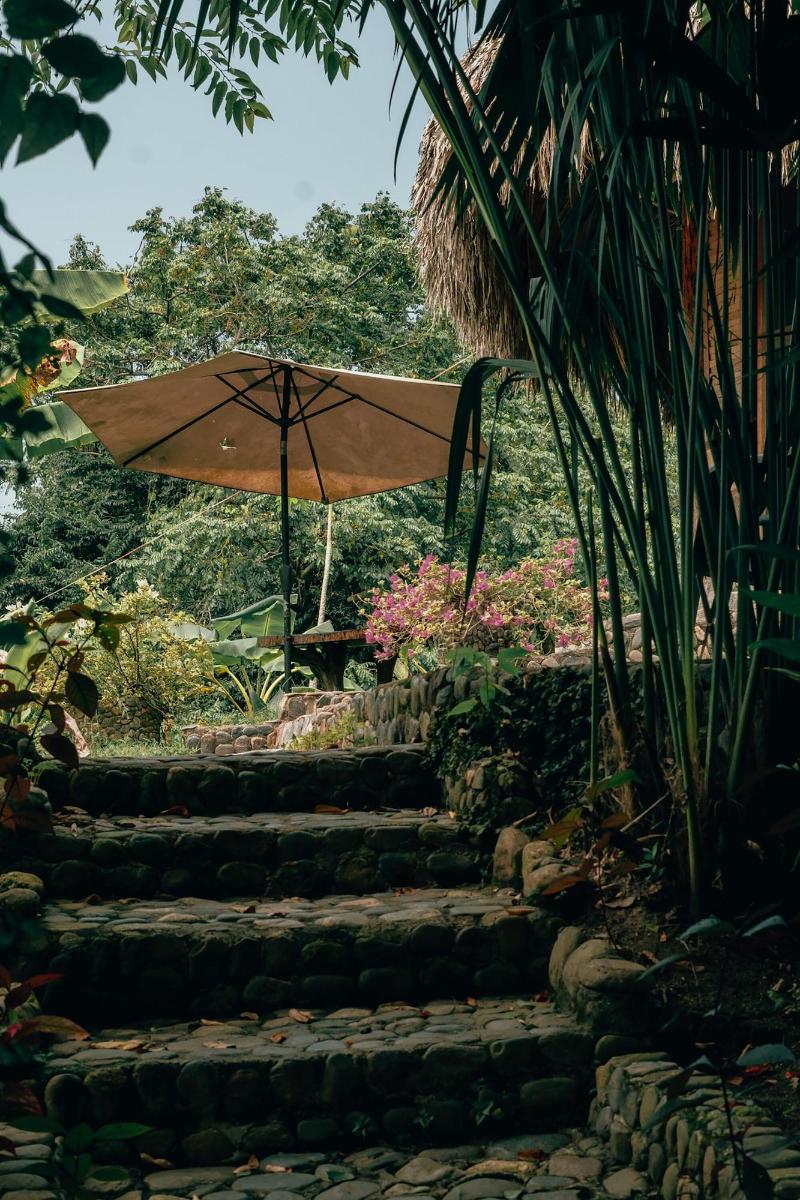 Magic Greeen Tayrona image
