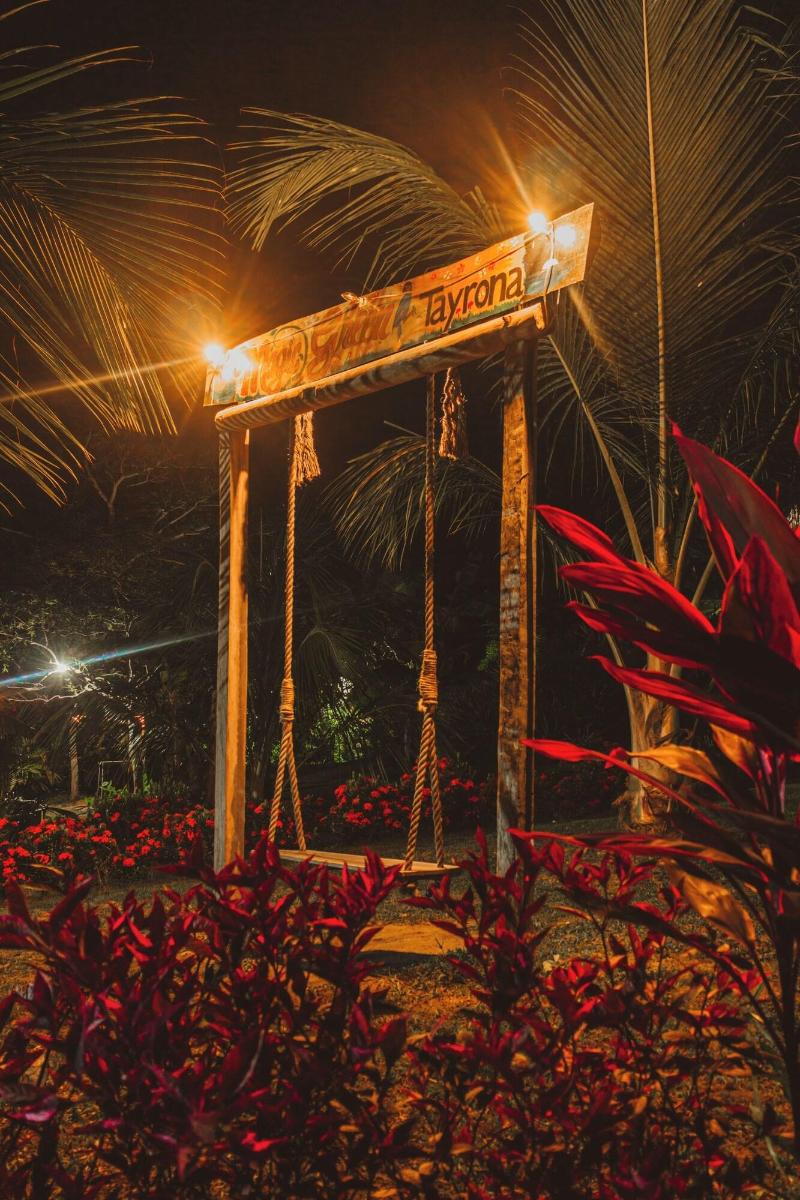 Magic Greeen Tayrona image
