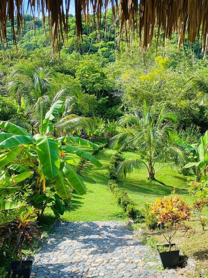 Magic Greeen Tayrona image