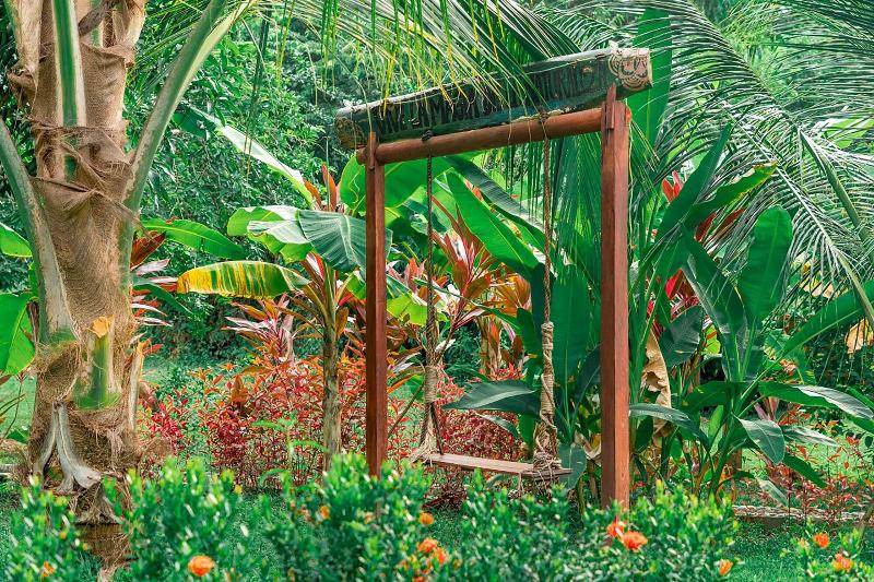 Magic Greeen Tayrona image