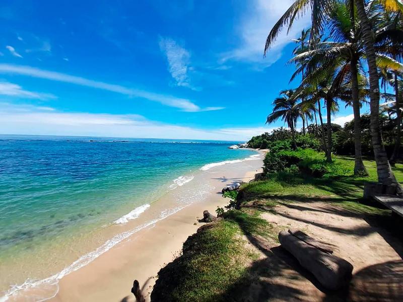 Magic Greeen Tayrona image