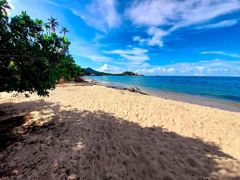 Magic Greeen Tayrona image