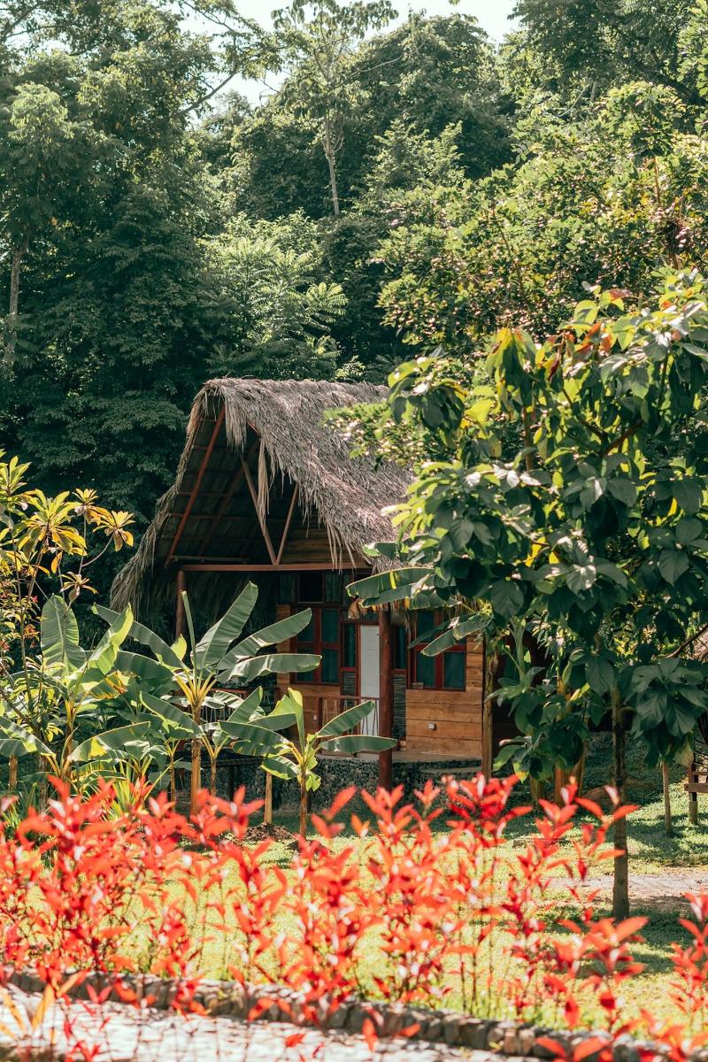 Magic Greeen Tayrona image