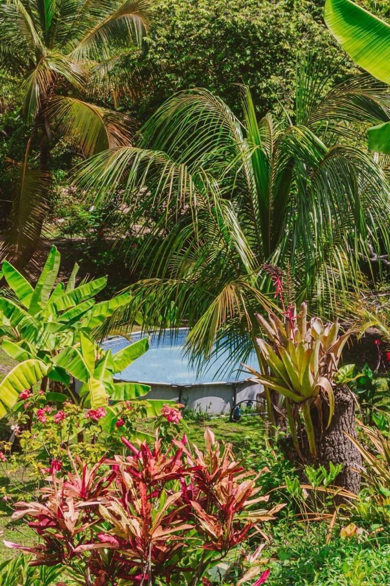 Magic Greeen Tayrona image