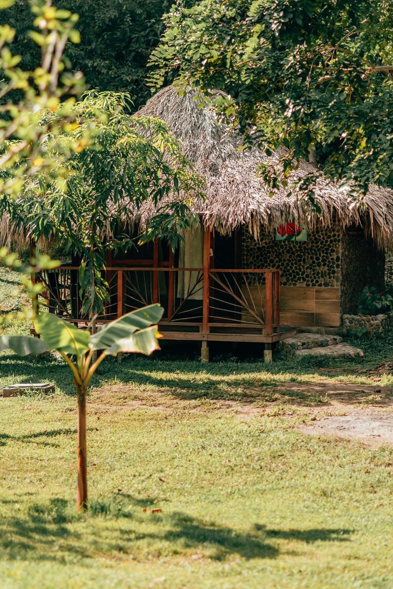 Magic Greeen Tayrona image
