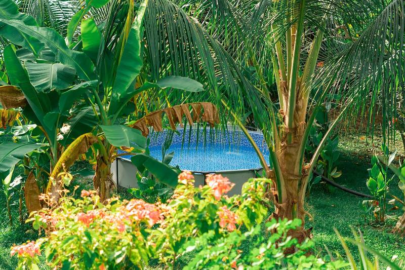 Magic Greeen Tayrona image