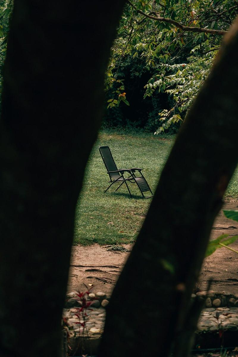 Magic Greeen Tayrona image