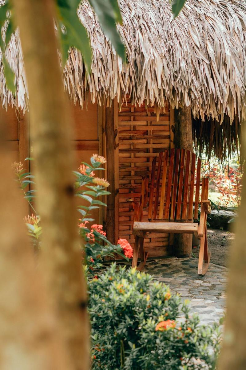 Magic Greeen Tayrona image