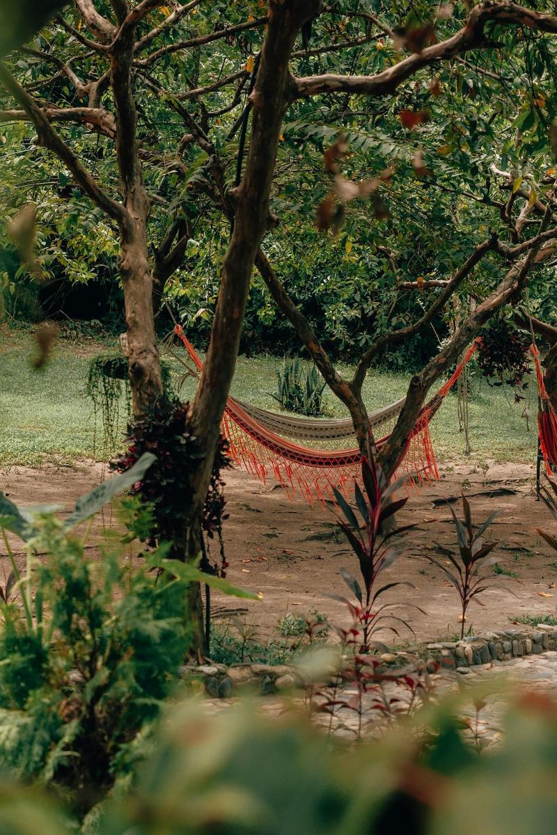Magic Greeen Tayrona image