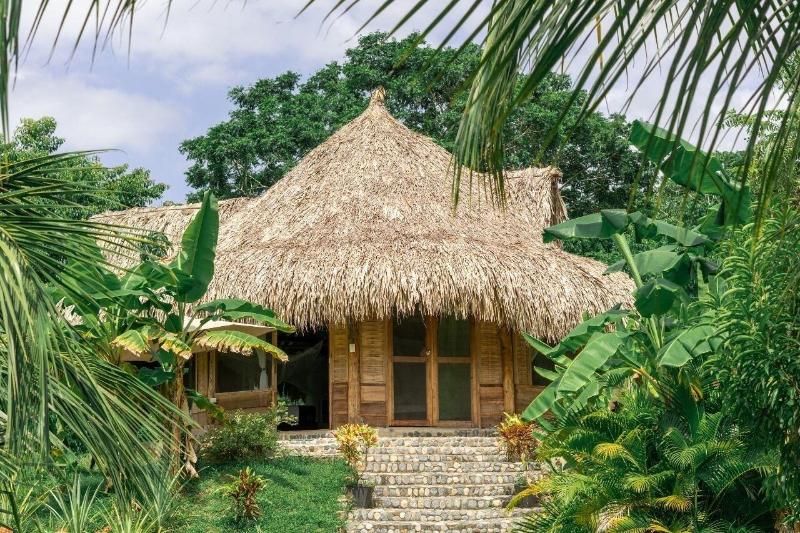Magic Greeen Tayrona image