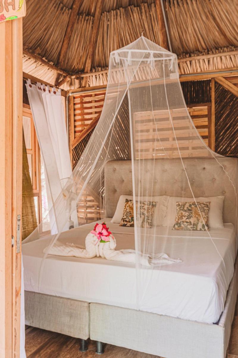 Magic Greeen Tayrona image