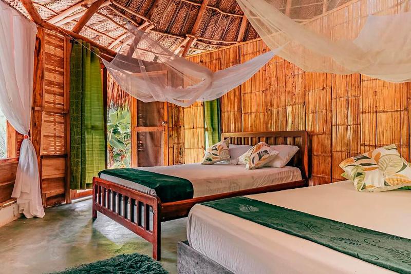 Magic Greeen Tayrona image