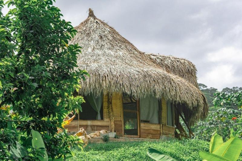 Magic Greeen Tayrona image
