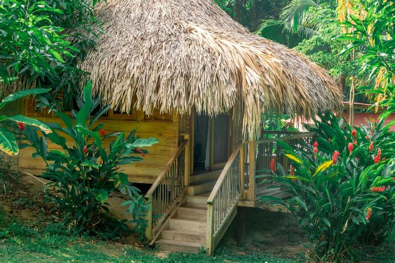 Magic Greeen Tayrona image