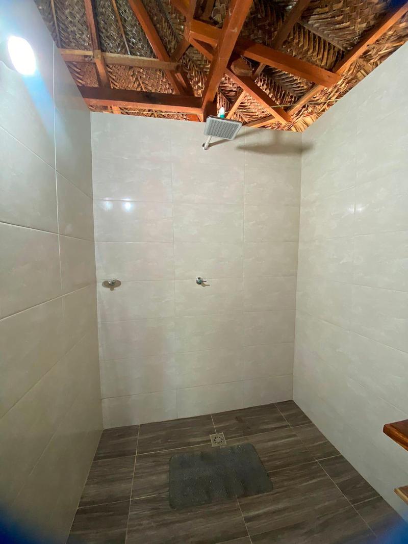 Magic Greeen Tayrona image