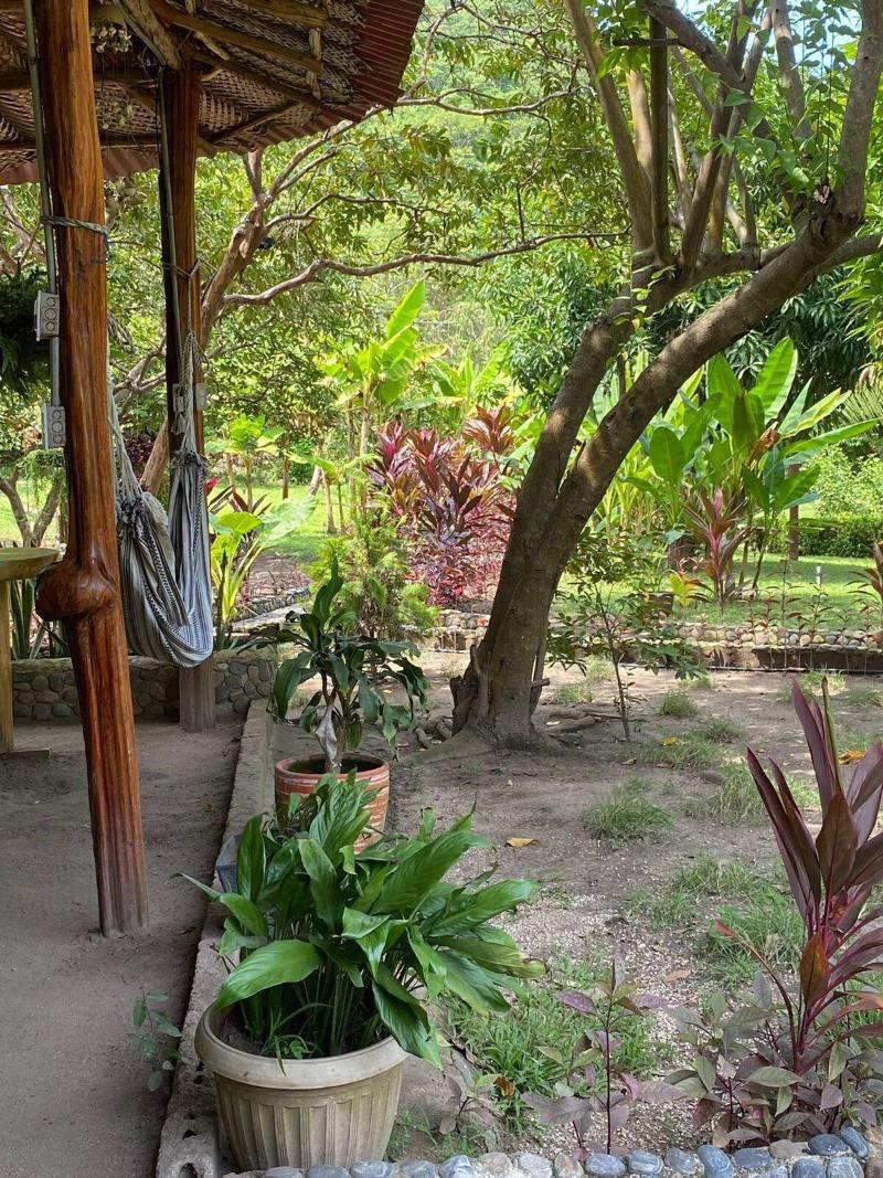 Magic Greeen Tayrona image