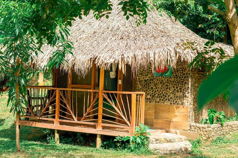 Magic Greeen Tayrona image