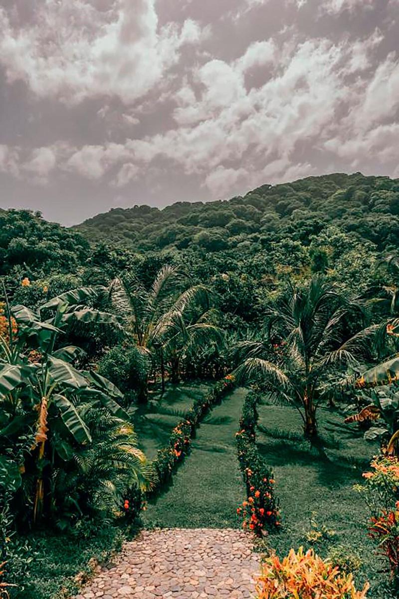 Magic Greeen Tayrona image