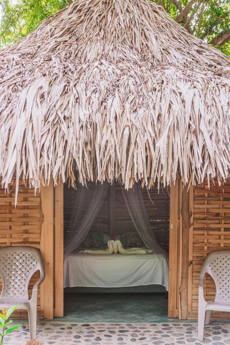 Magic Greeen Tayrona image