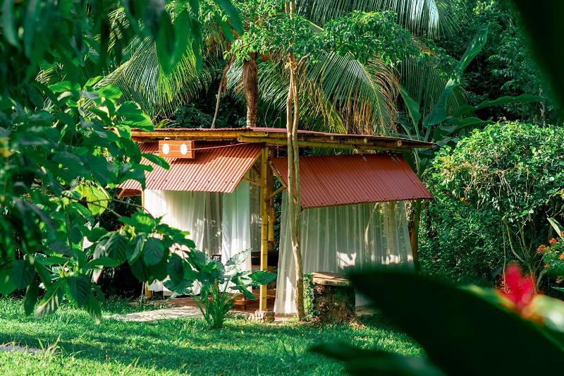 Magic Greeen Tayrona image