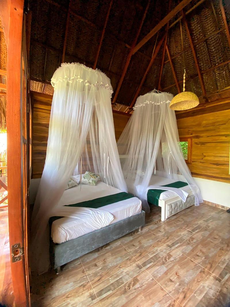 Magic Greeen Tayrona image