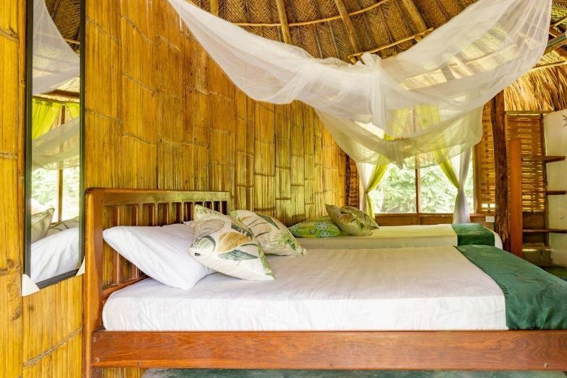 Magic Greeen Tayrona image