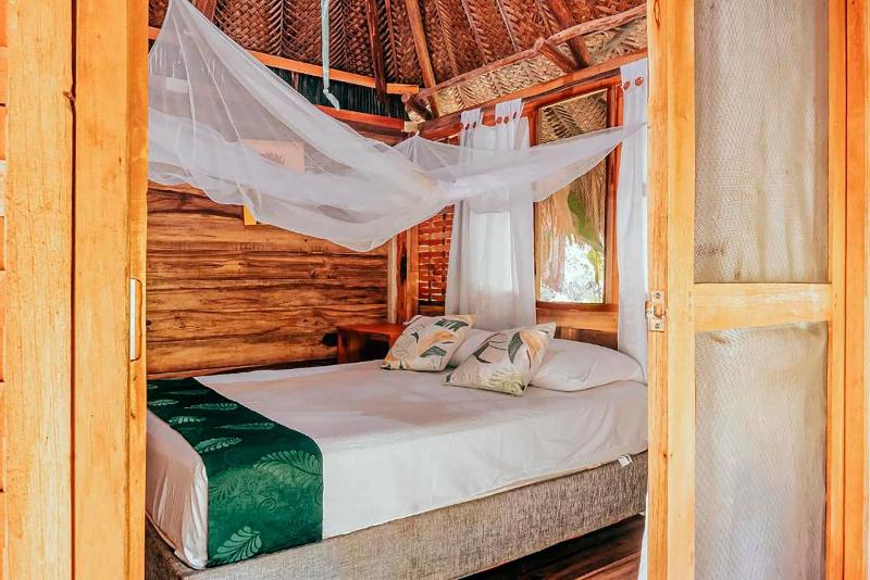 Magic Greeen Tayrona image
