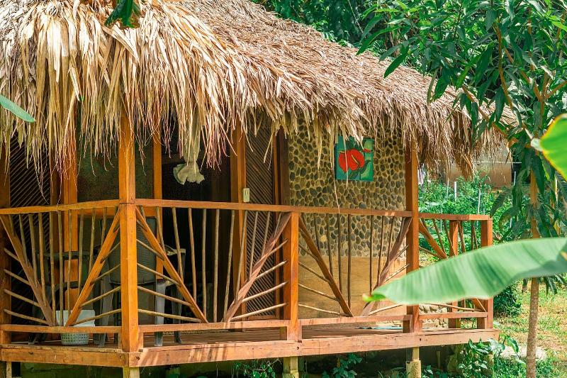 Magic Greeen Tayrona image