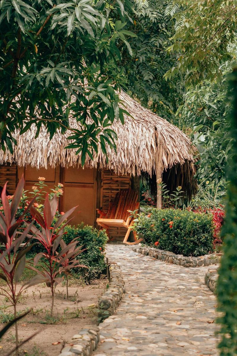 Magic Greeen Tayrona image