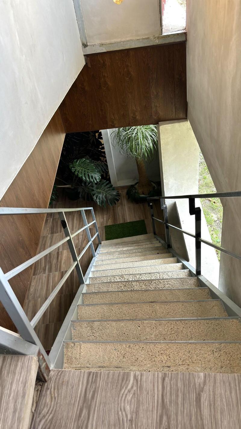 Arenal Monara image